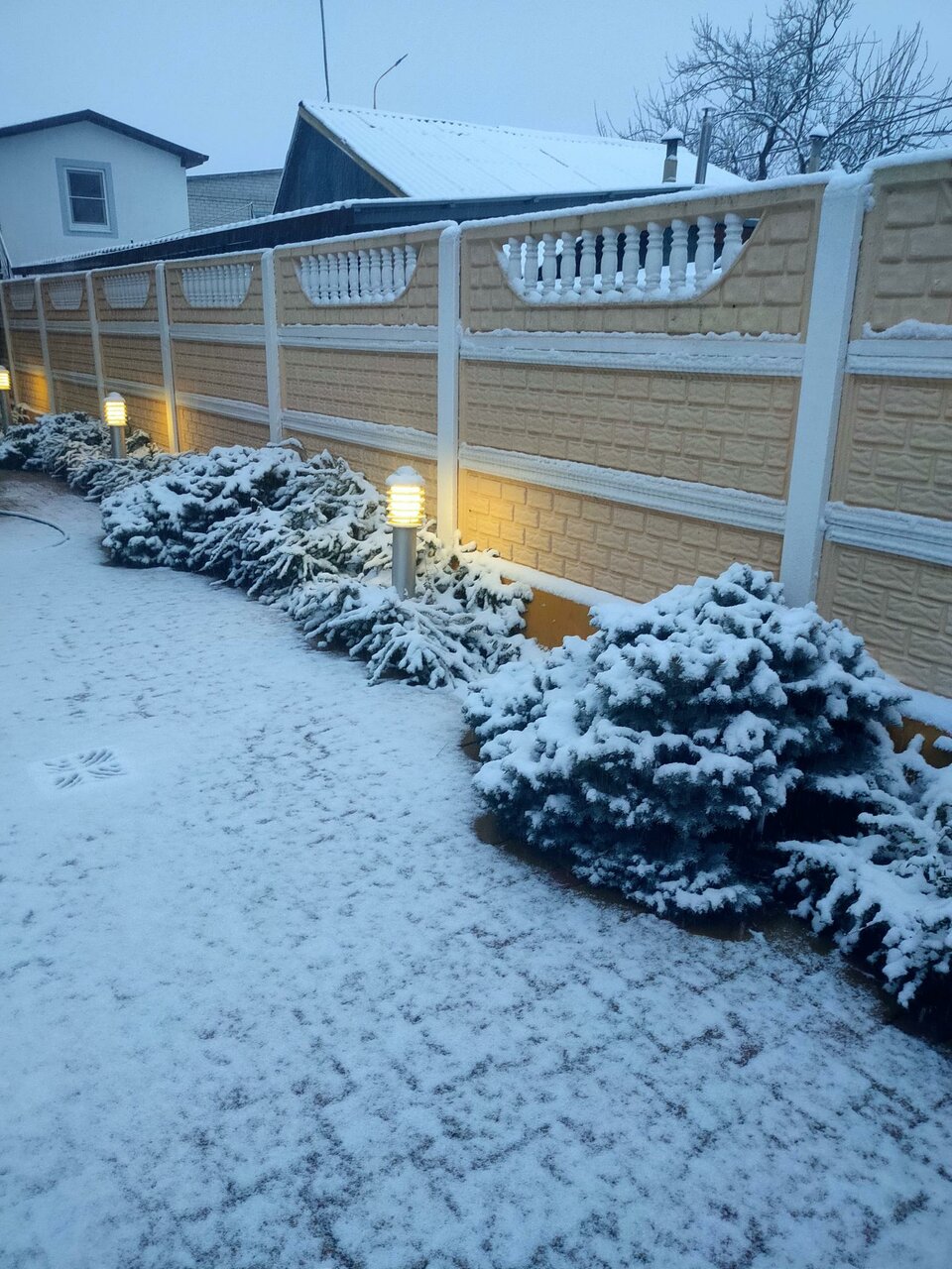 Гостиница Кипарис Геленджик-70