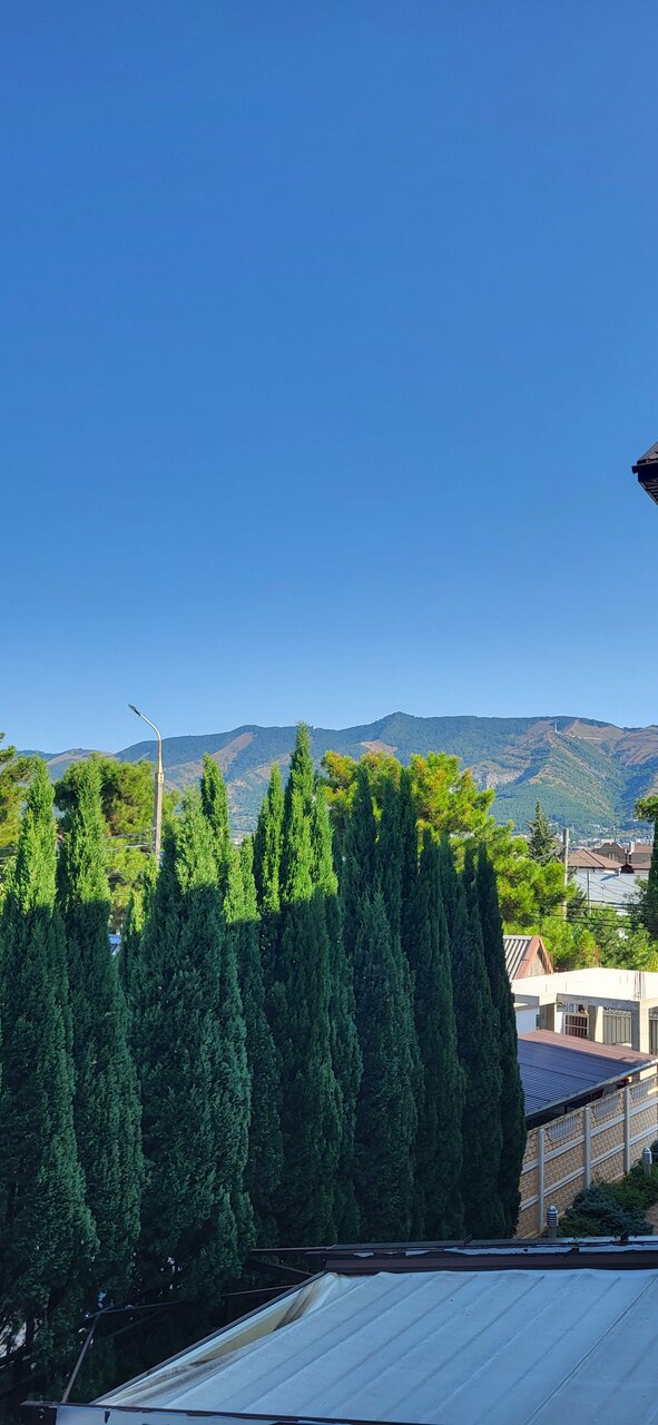 Гостиница Кипарис Геленджик-20