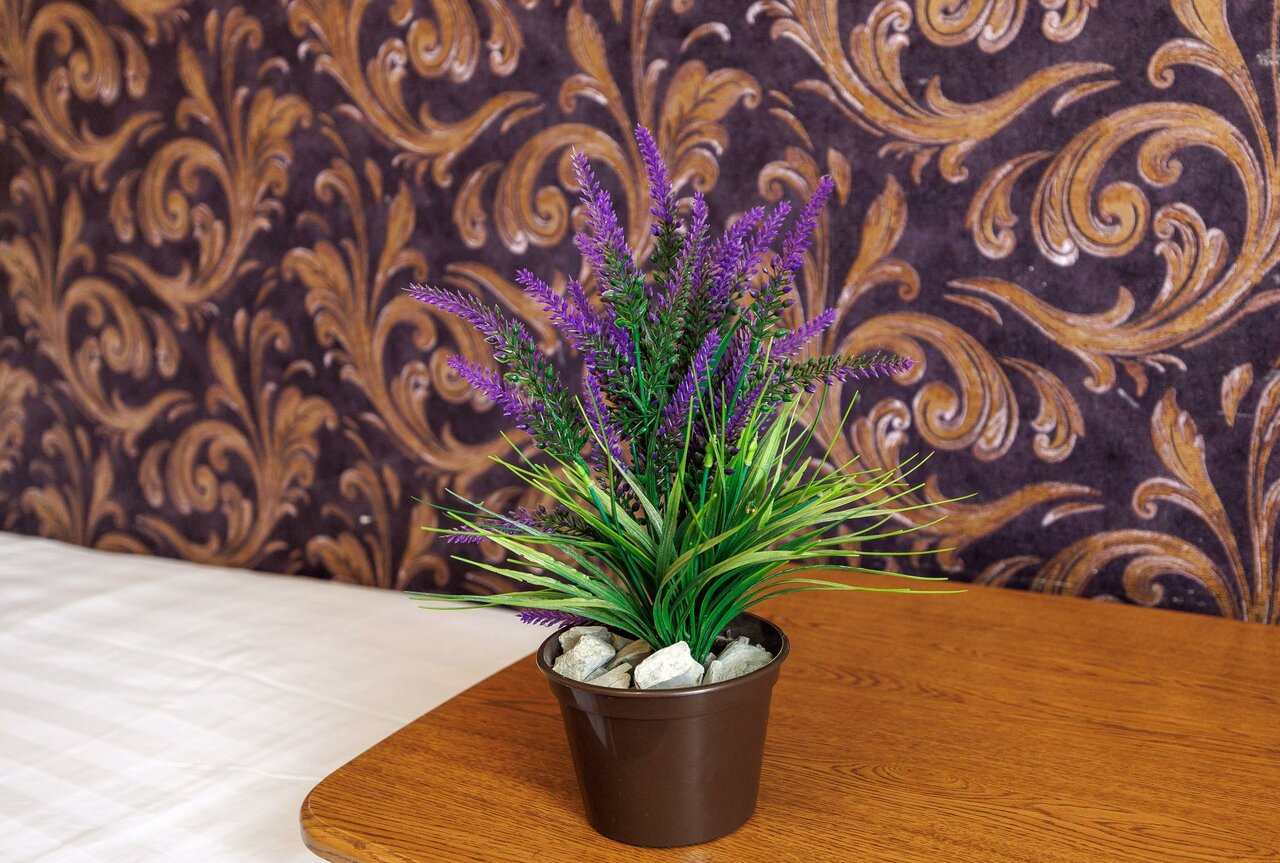 Гостиница Кипарис Геленджик-143