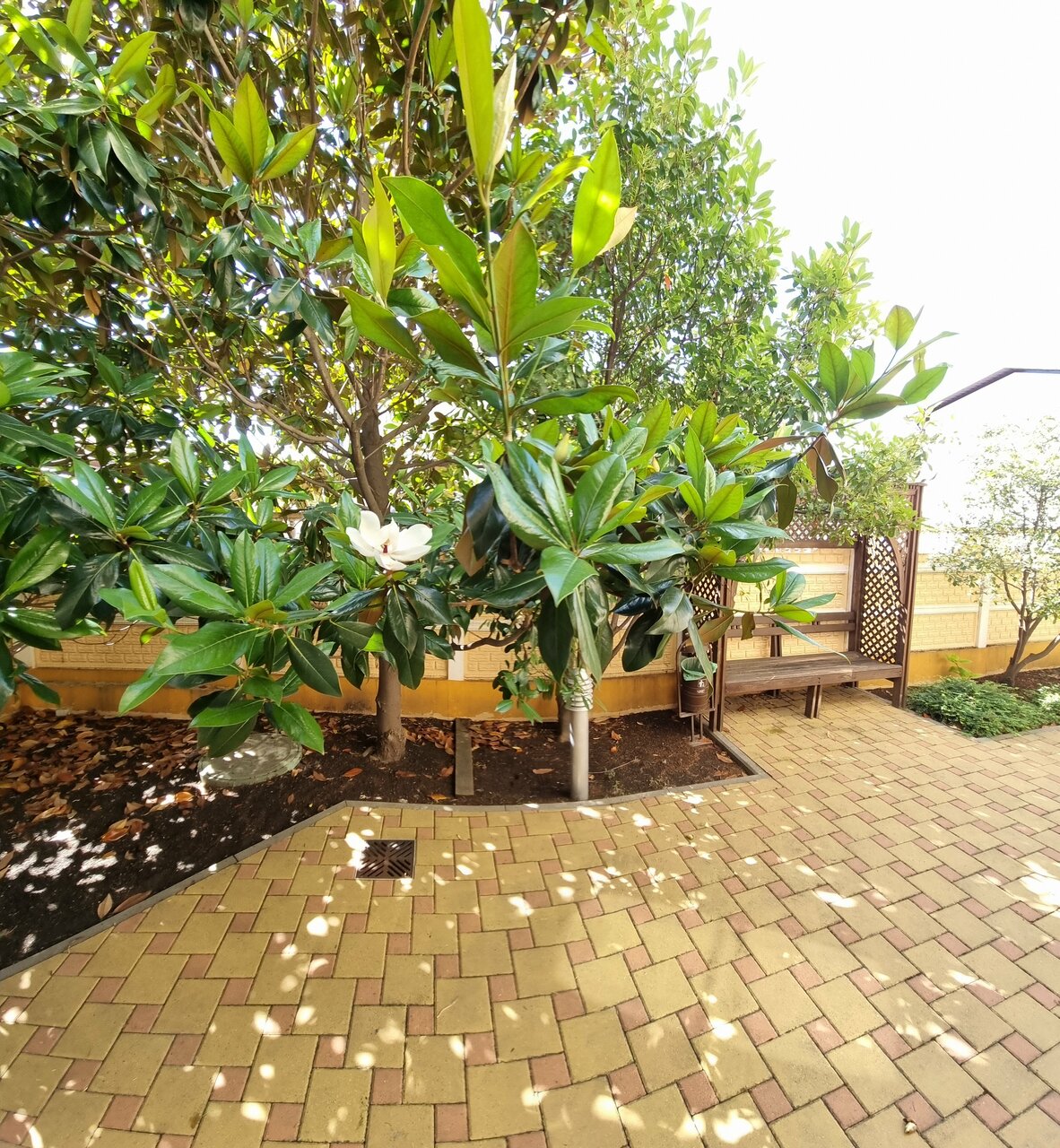 Гостиница Кипарис Геленджик-234