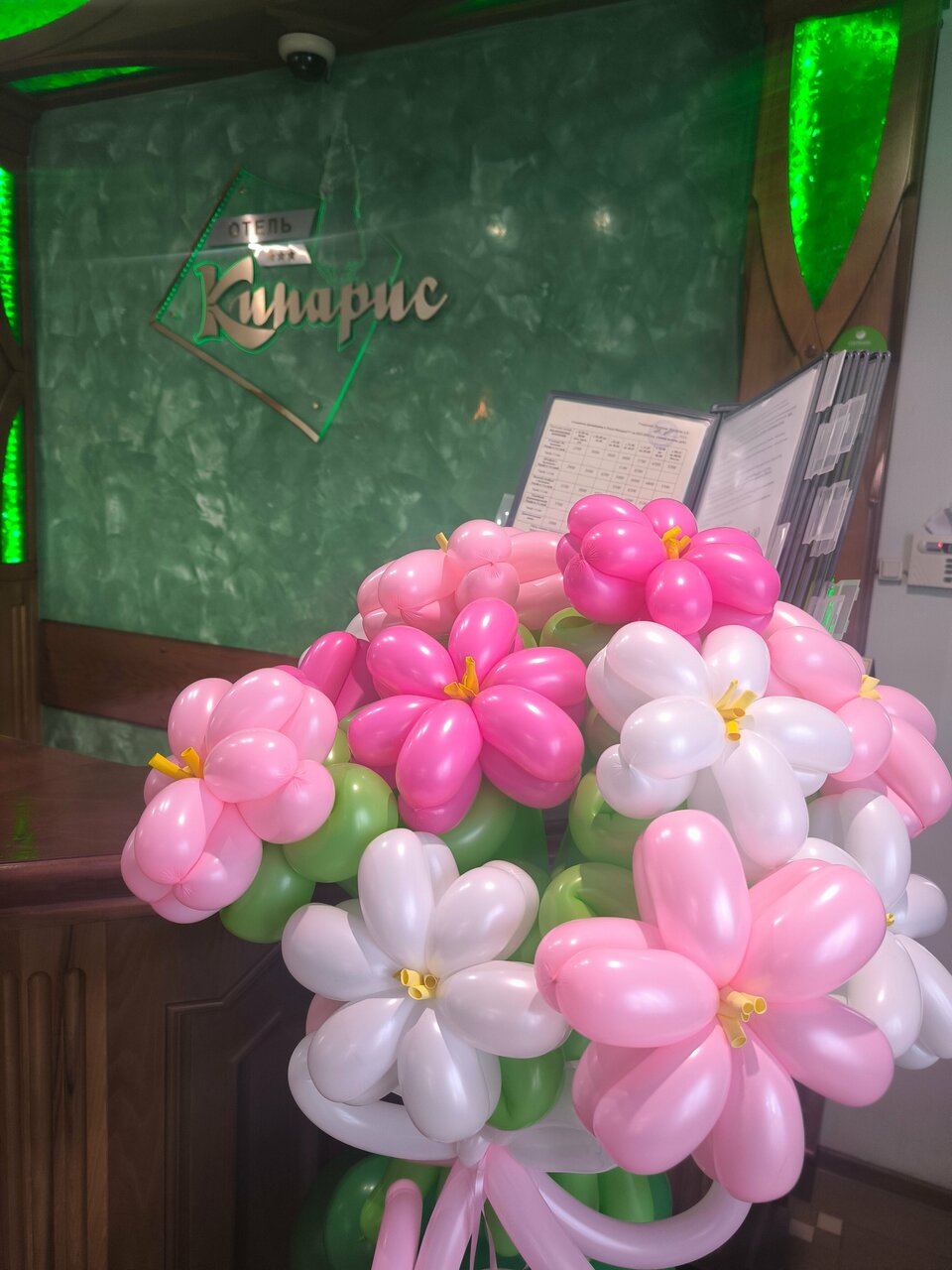 Гостиница Кипарис Геленджик-249