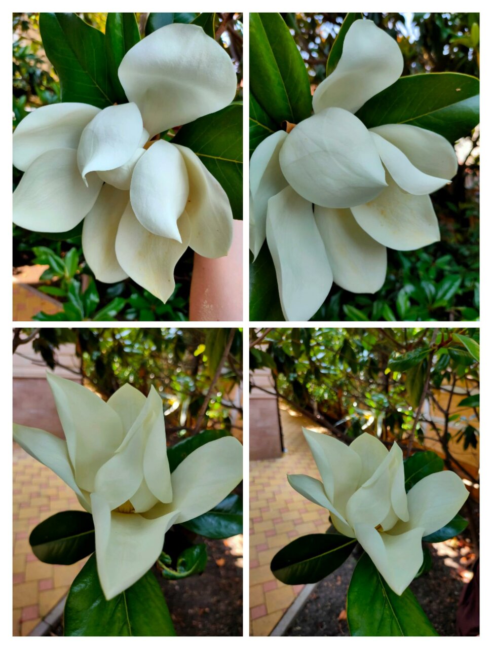 Гостиница Кипарис Геленджик-112