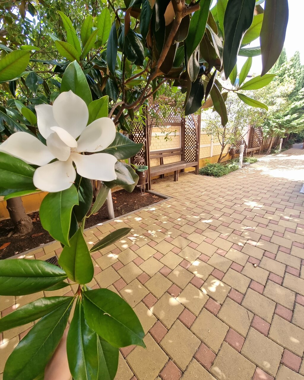 Гостиница Кипарис Геленджик-232