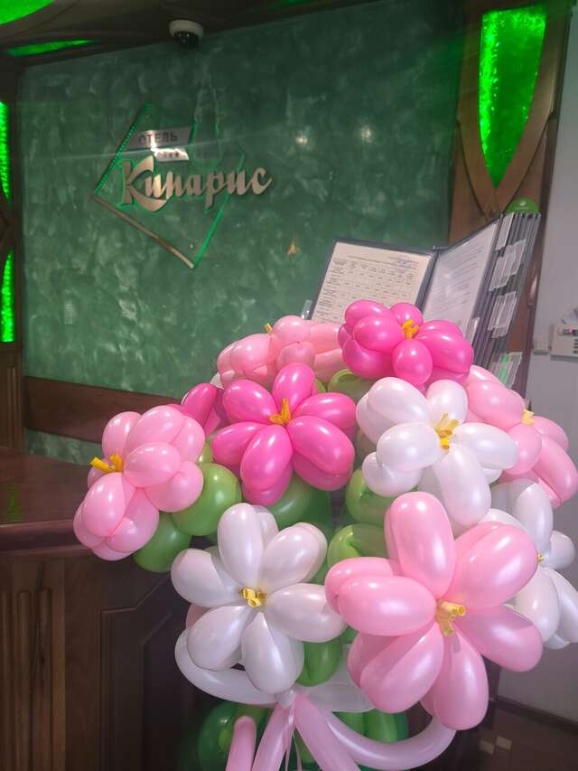 Гостиница Кипарис Геленджик-248