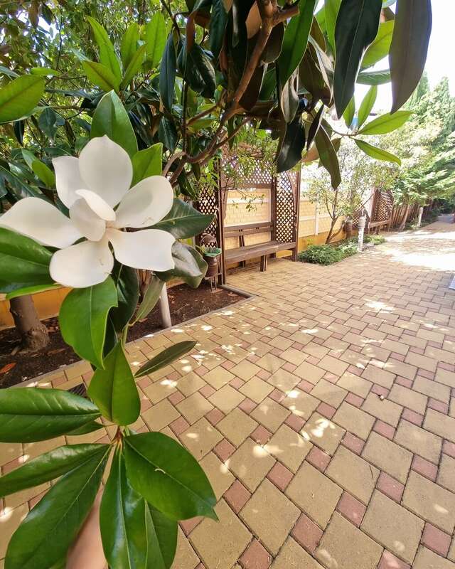 Гостиница Кипарис Геленджик-231